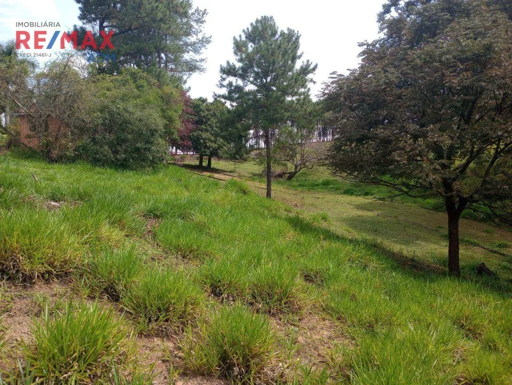 Terreno, 6 hectares - Foto 3