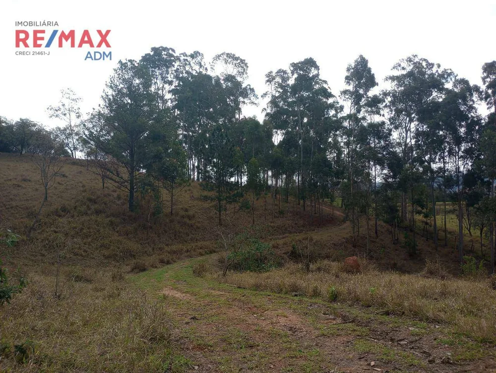 Terreno, 6 hectares - Foto 1