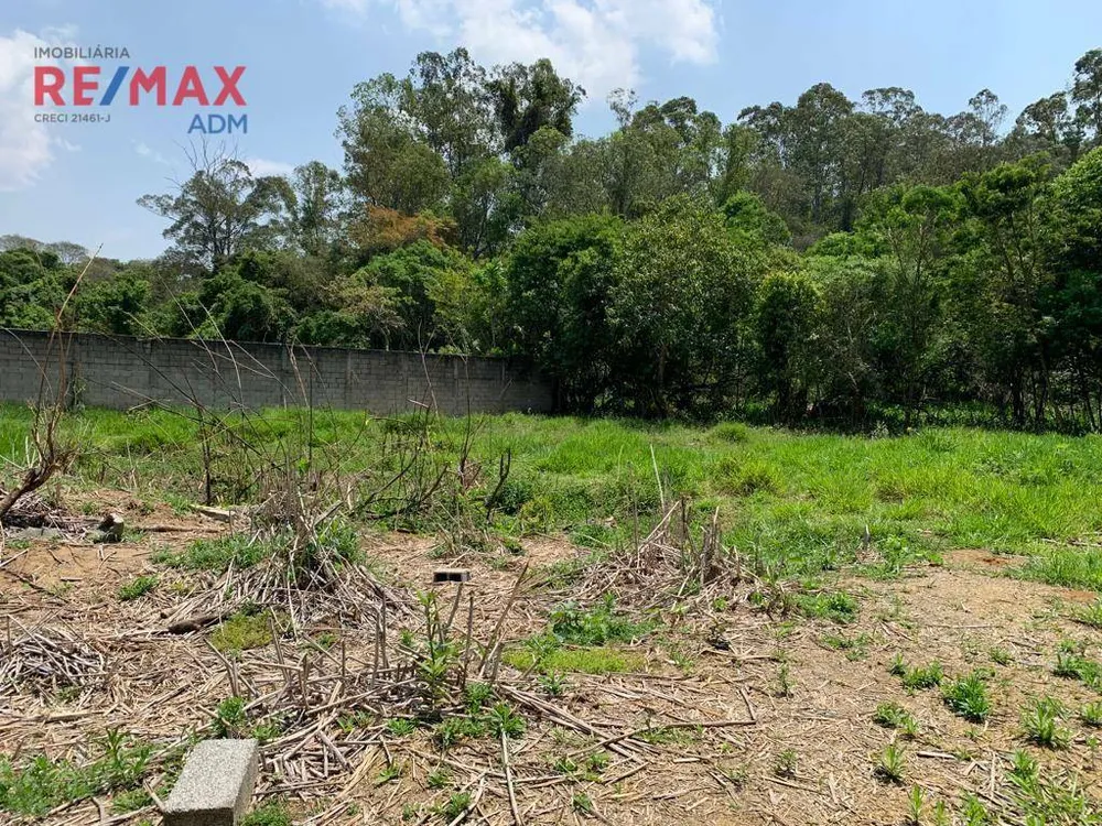 Terreno, 6500 m² - Foto 4
