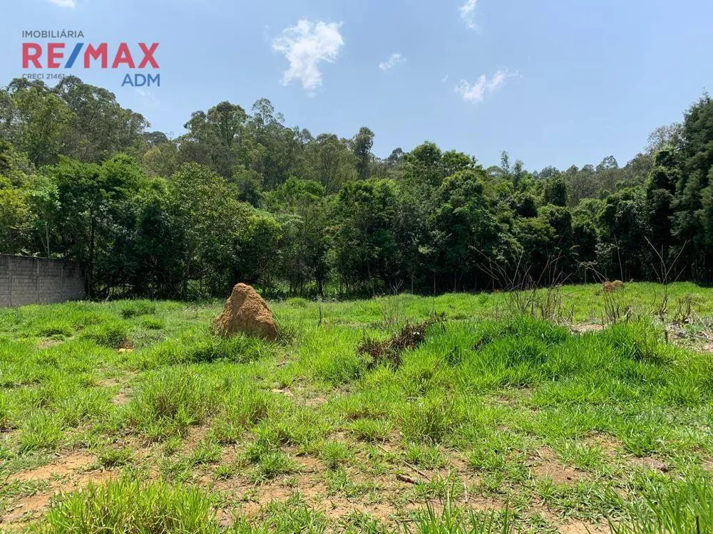 Terreno, 6500 m² - Foto 3