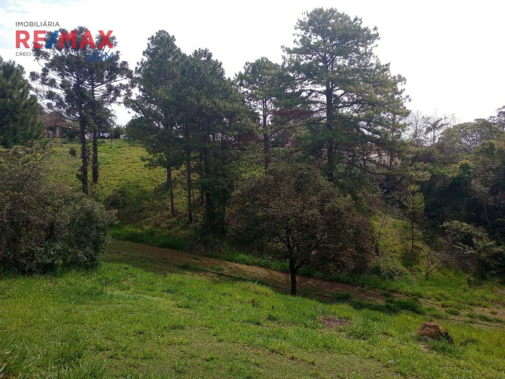 Terreno, 6 hectares - Foto 4