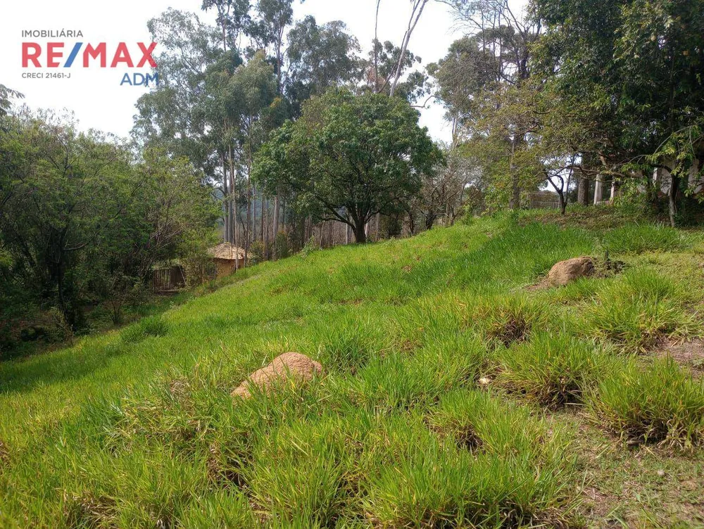 Terreno, 6 hectares - Foto 3
