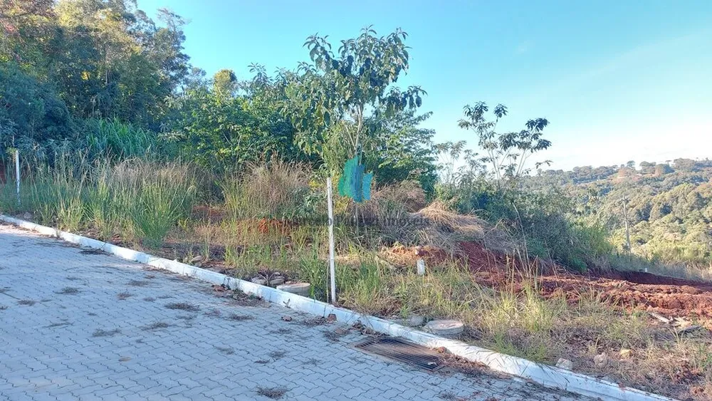 Terreno, 250 m² - Foto 2