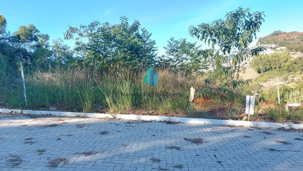 Terreno, 250 m² - Foto 1