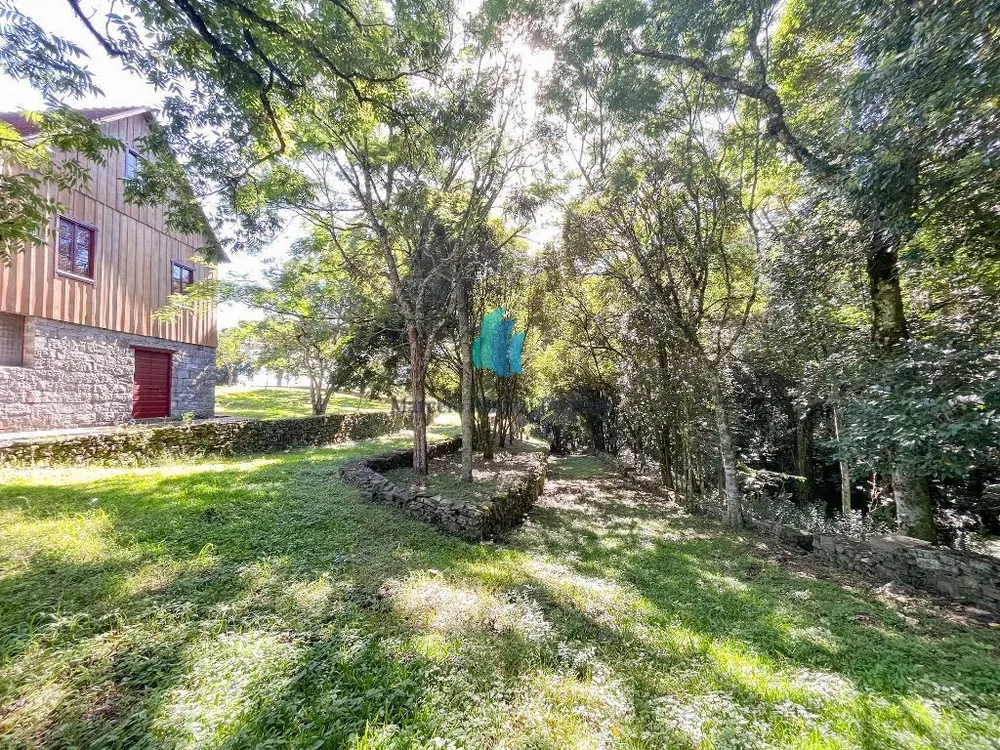 Terreno, 5 hectares - Foto 8