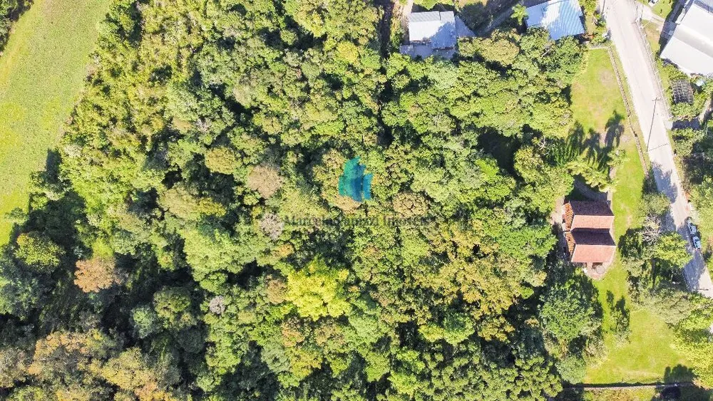 Terreno, 5 hectares - Foto 9