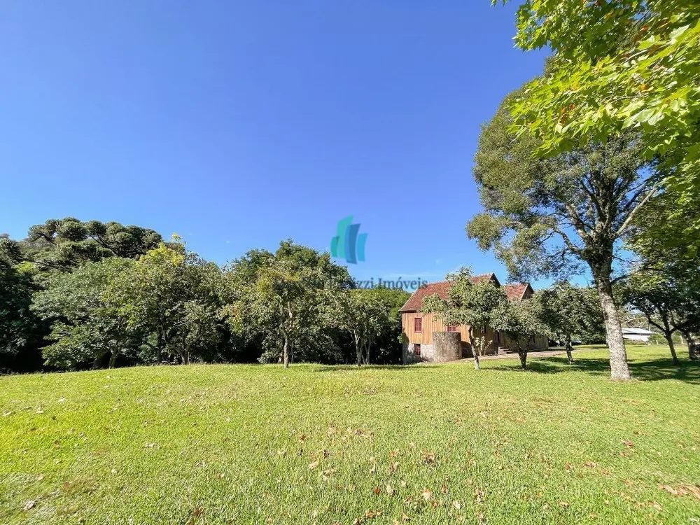 Terreno, 5 hectares - Foto 6