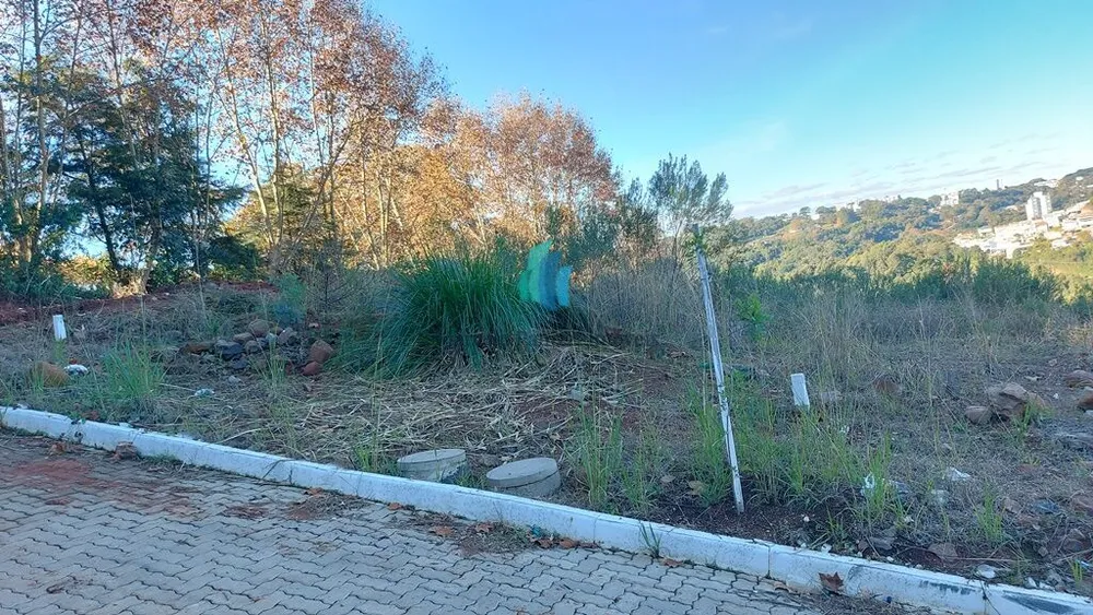 Terreno, 240 m² - Foto 2