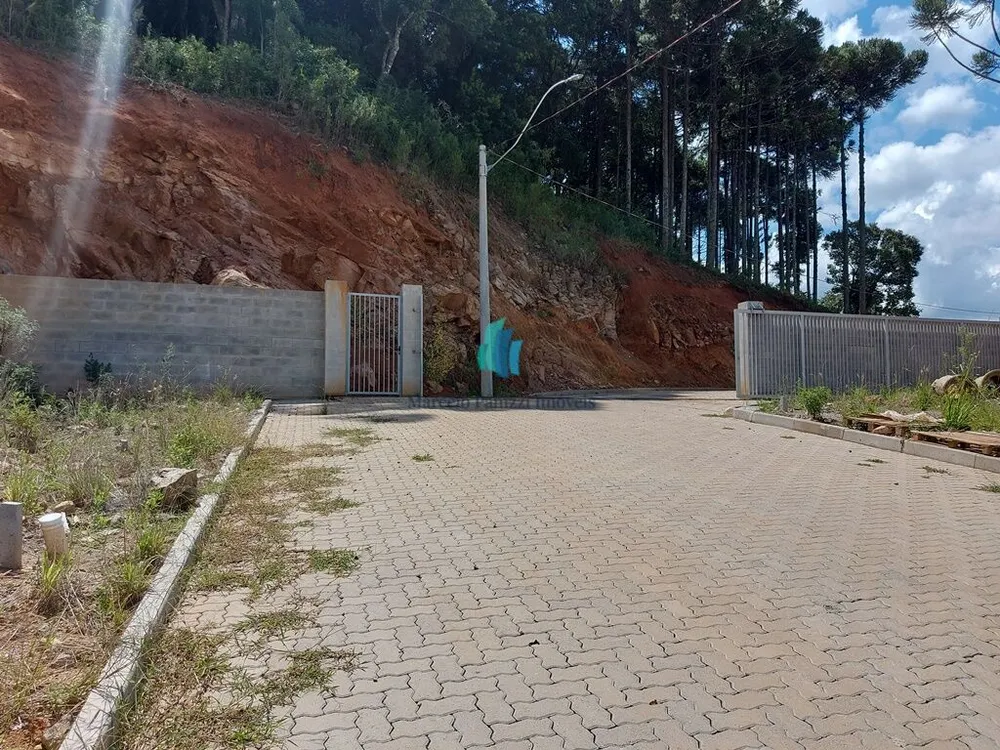 Terreno, 242 m² - Foto 2