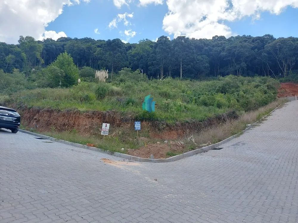 Terreno, 242 m² - Foto 6