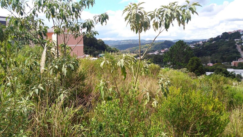 Terreno, 819 m² - Foto 2