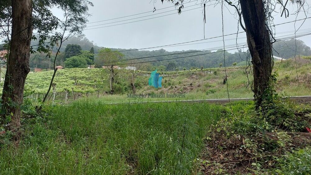 Terreno, 1 hectares - Foto 3