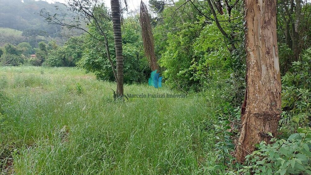 Terreno, 1 hectares - Foto 1