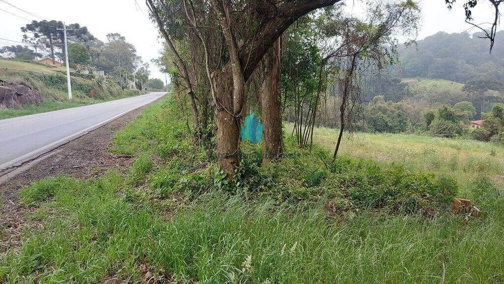 Terreno, 1 hectares - Foto 2