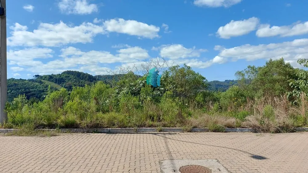 Terreno, 375 m² - Foto 8
