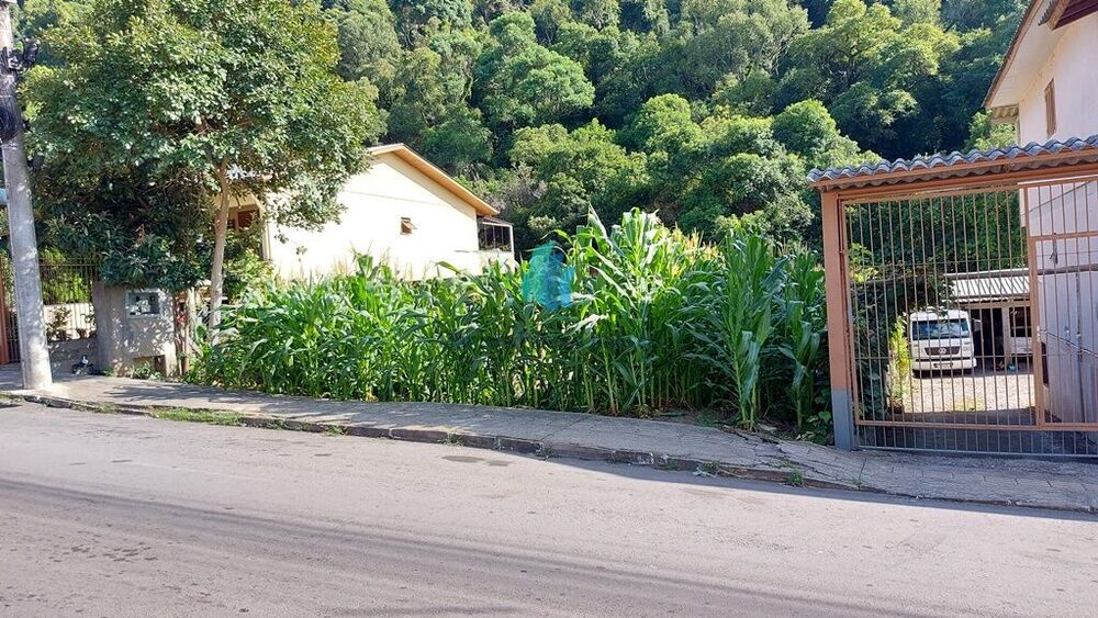 Terreno à venda, 378m² - Foto 2