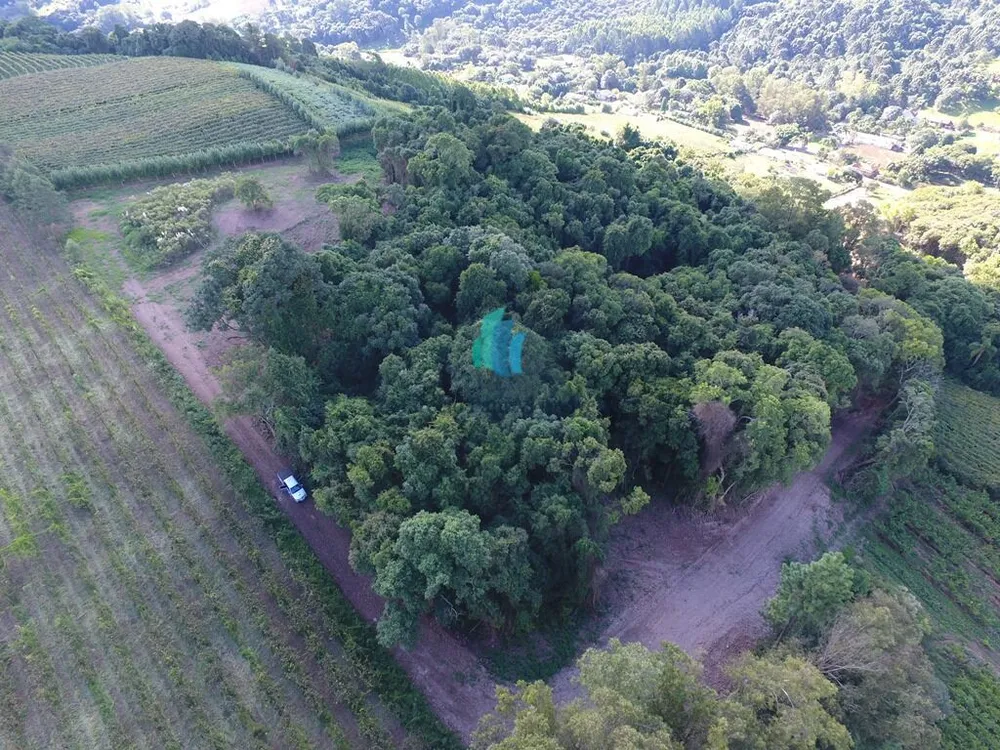 Terreno, 2 hectares - Foto 7