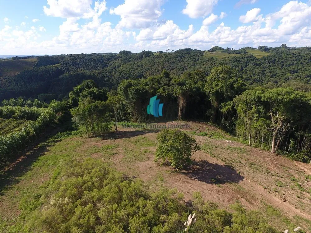Terreno, 2 hectares - Foto 6