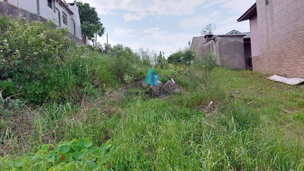 Terreno, 345 m² - Foto 2