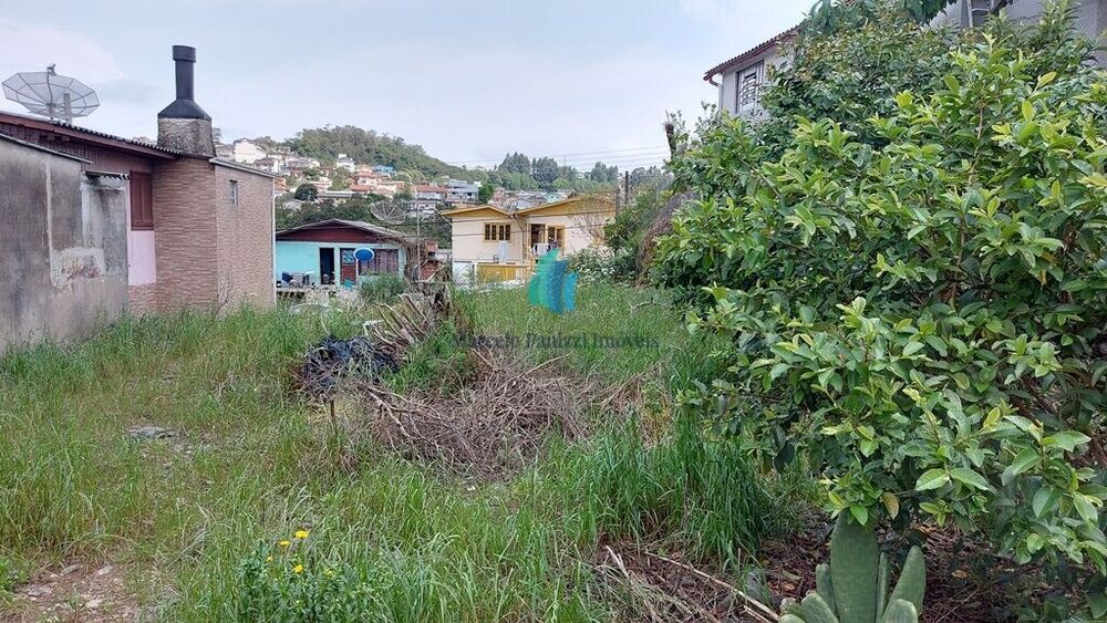 Terreno, 345 m² - Foto 4