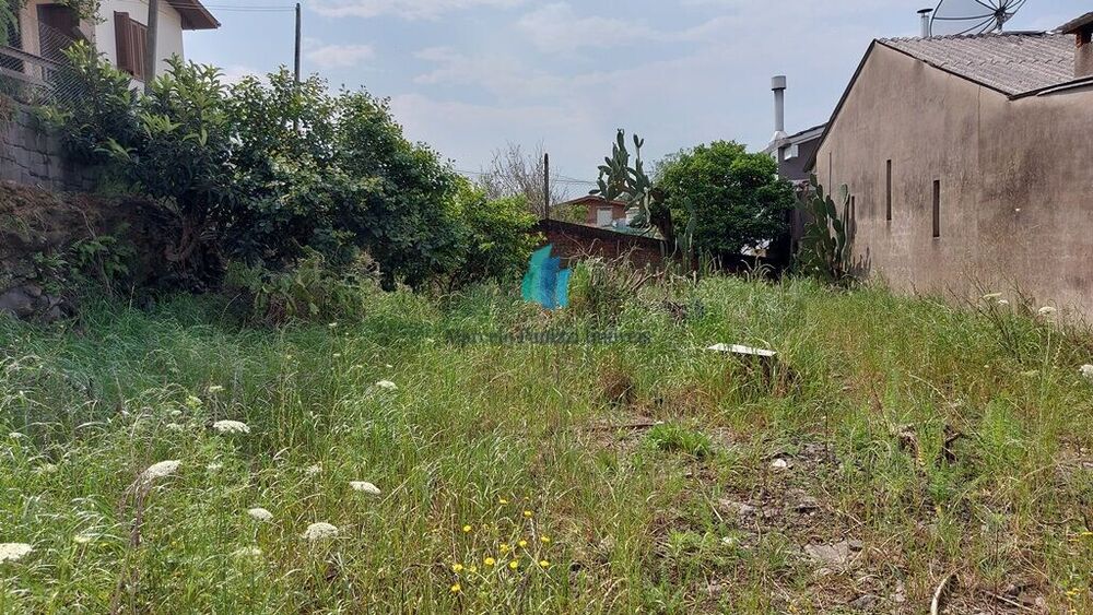 Terreno, 345 m² - Foto 3