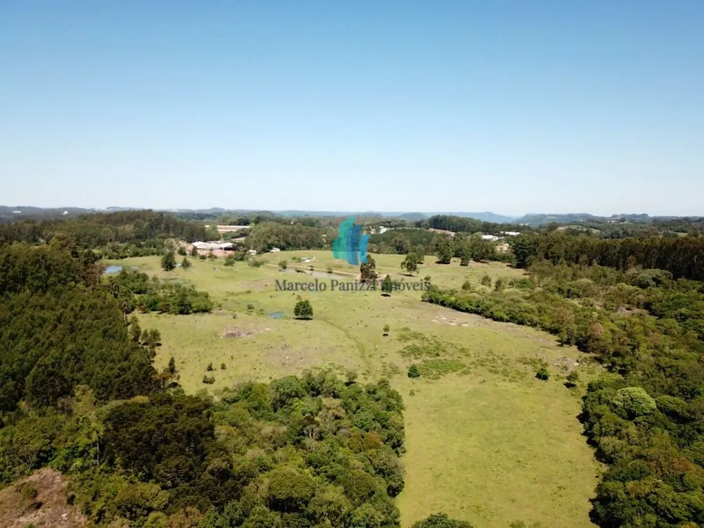 Chácara, 2 hectares - Foto 6