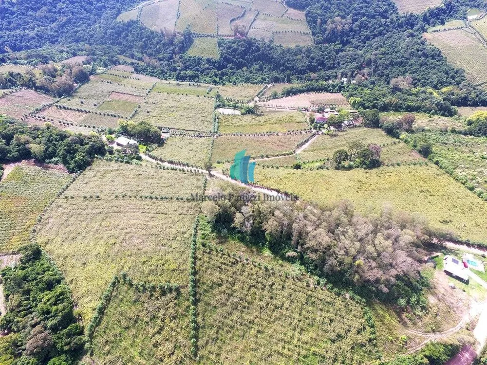 Terreno, 12 hectares - Foto 10