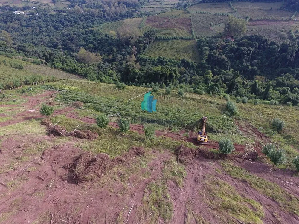 Terreno, 12 hectares - Foto 9