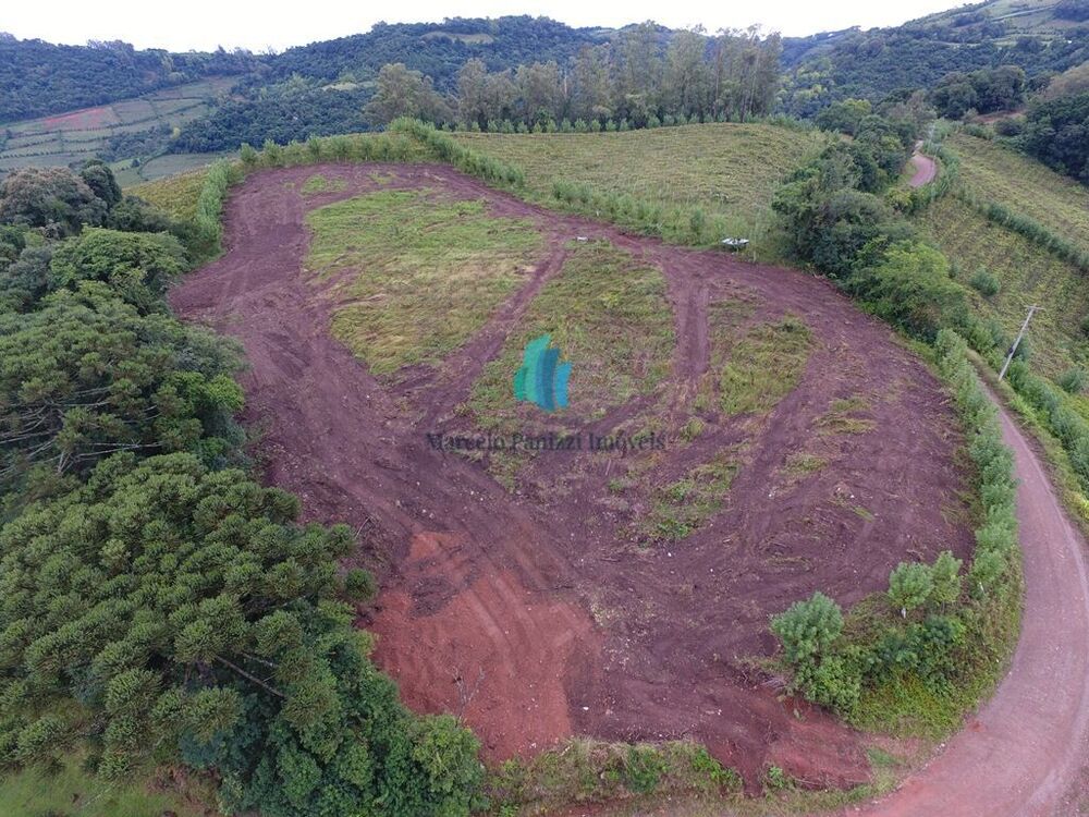 Terreno, 12 hectares - Foto 4