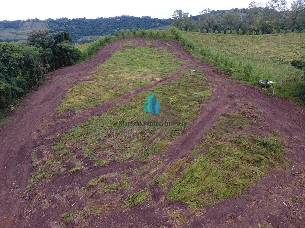 Terreno, 12 hectares - Foto 7