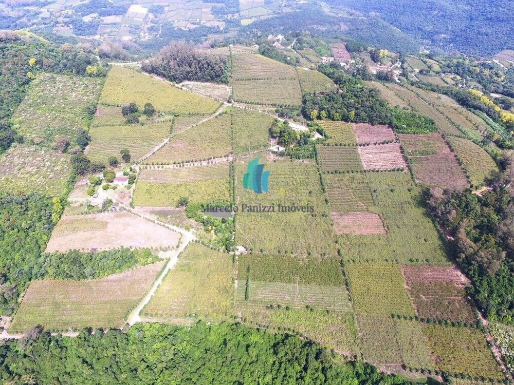 Terreno, 12 hectares - Foto 1