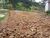 Terreno, 360 m² - Foto 2