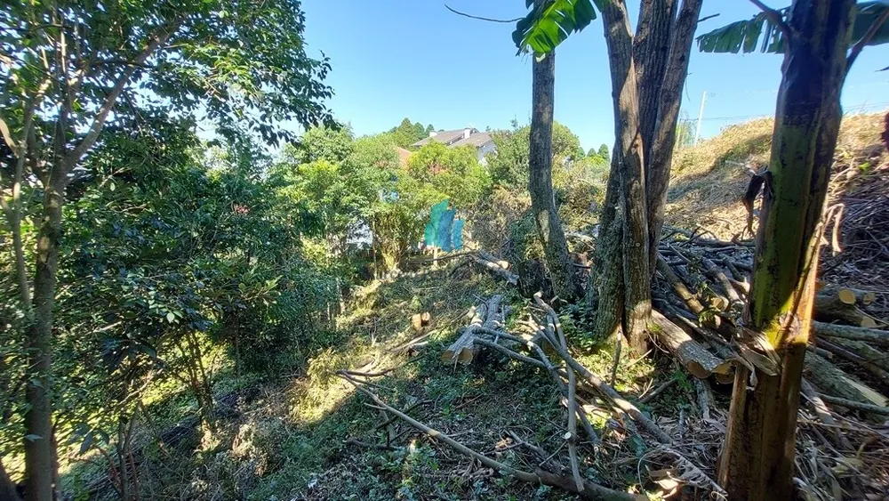 Terreno, 756 m² - Foto 9