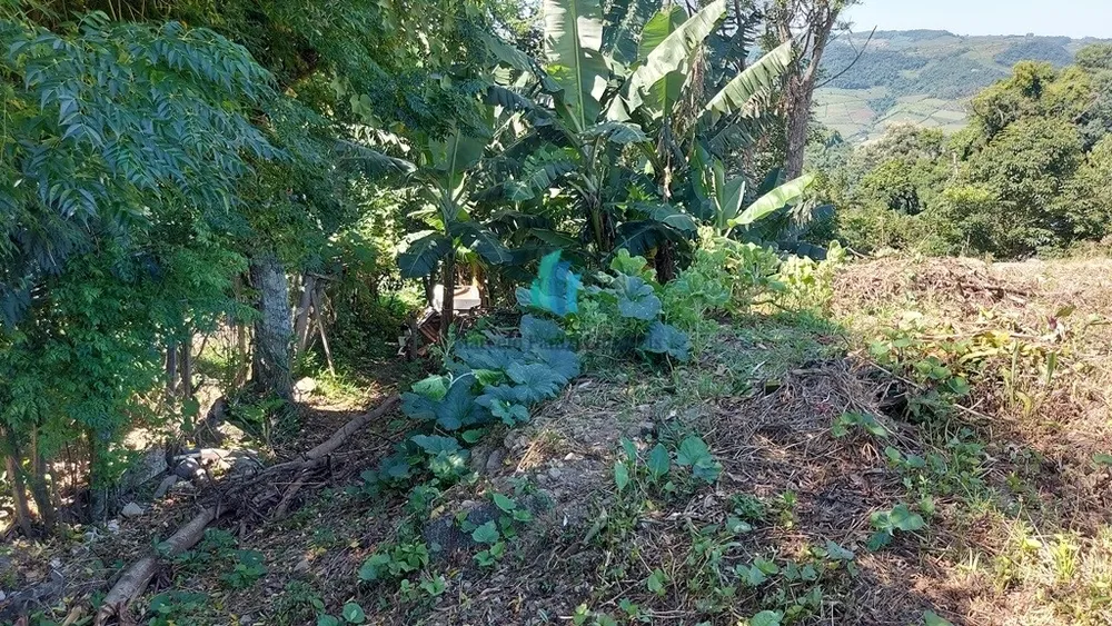 Terreno, 756 m² - Foto 7