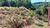 Terreno, 756 m² - Foto 4
