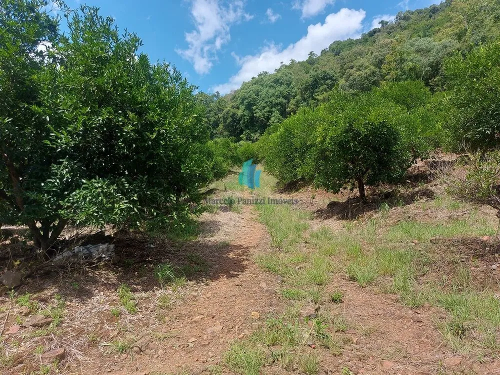 Terreno, 11 hectares - Foto 10