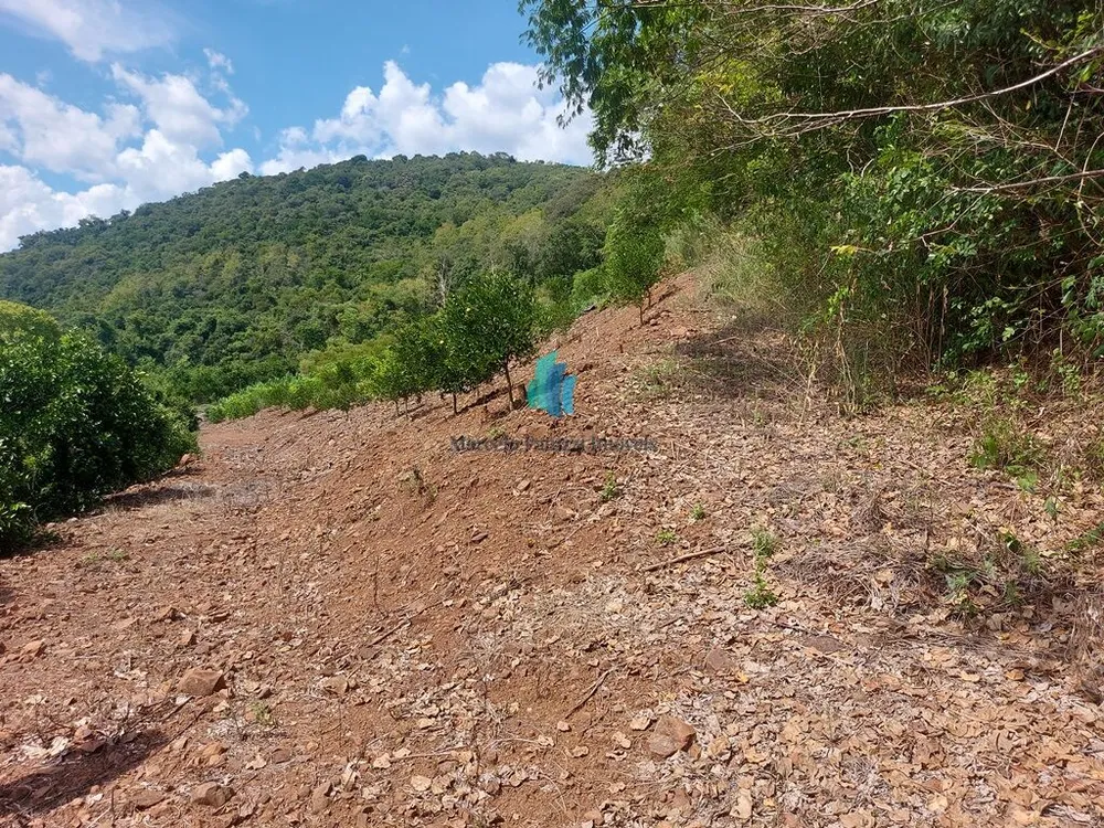 Terreno, 11 hectares - Foto 14