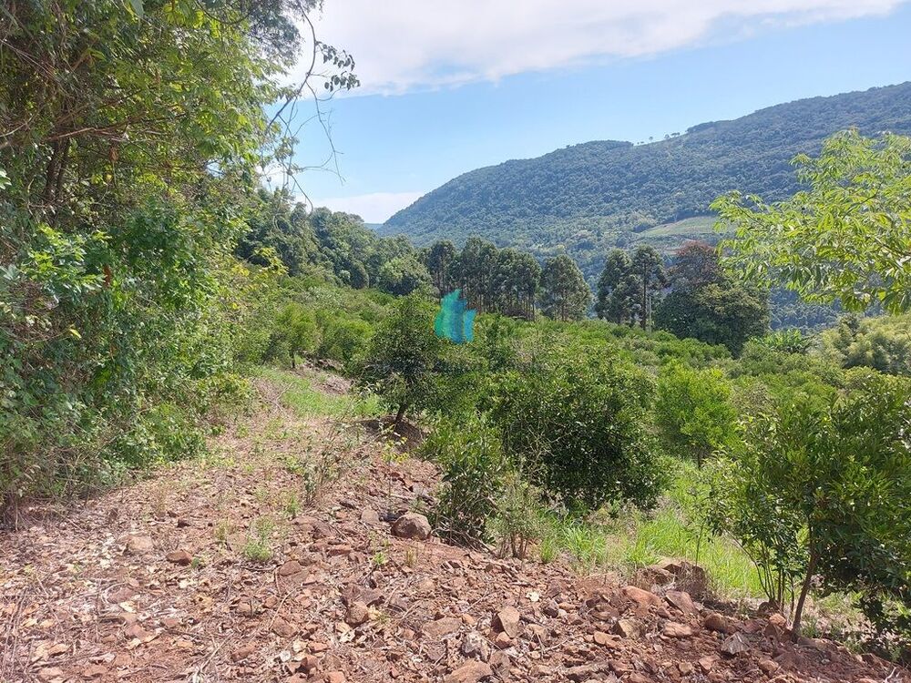 Terreno, 11 hectares - Foto 4