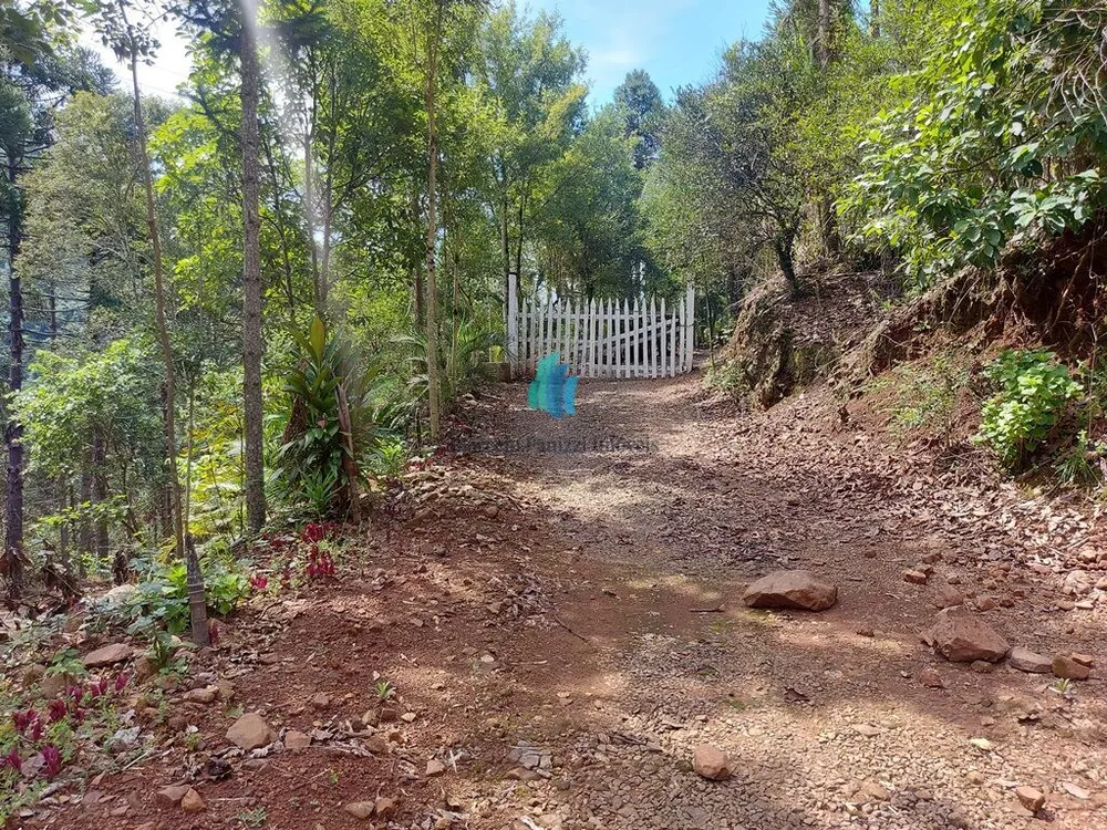 Terreno, 11 hectares - Foto 5