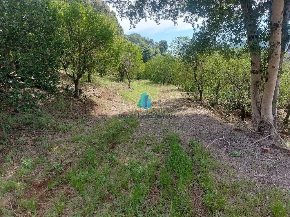 Terreno, 11 hectares - Foto 11