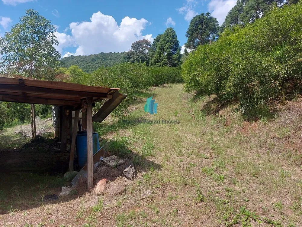 Terreno, 11 hectares - Foto 12