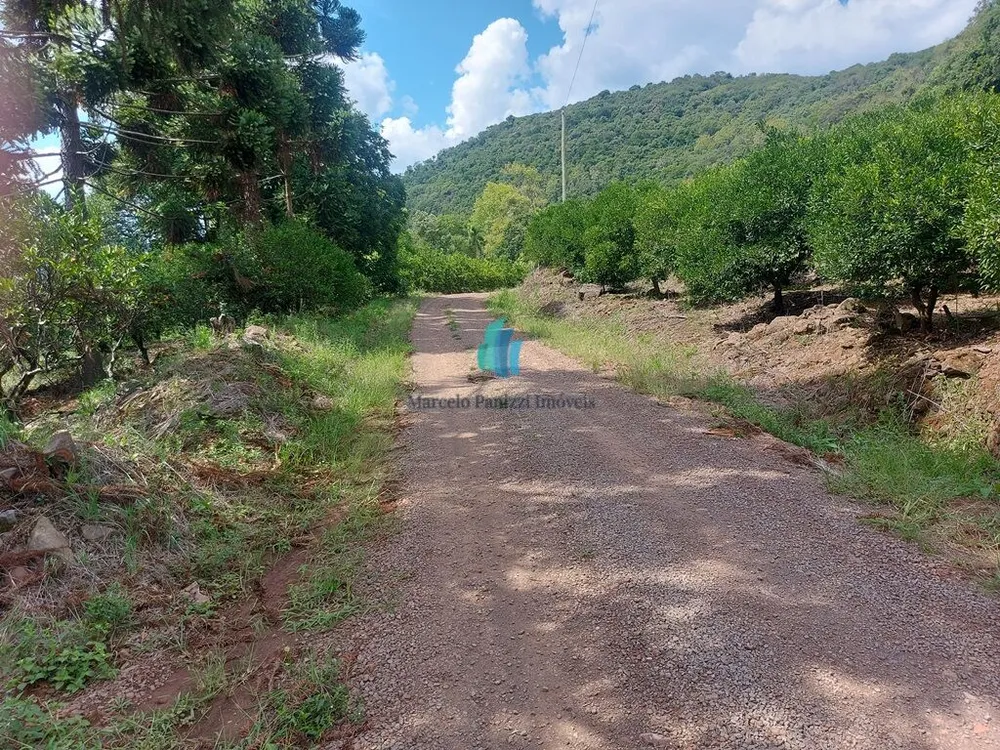 Terreno, 11 hectares - Foto 9