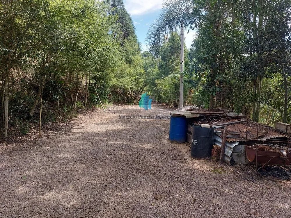Terreno, 11 hectares - Foto 4