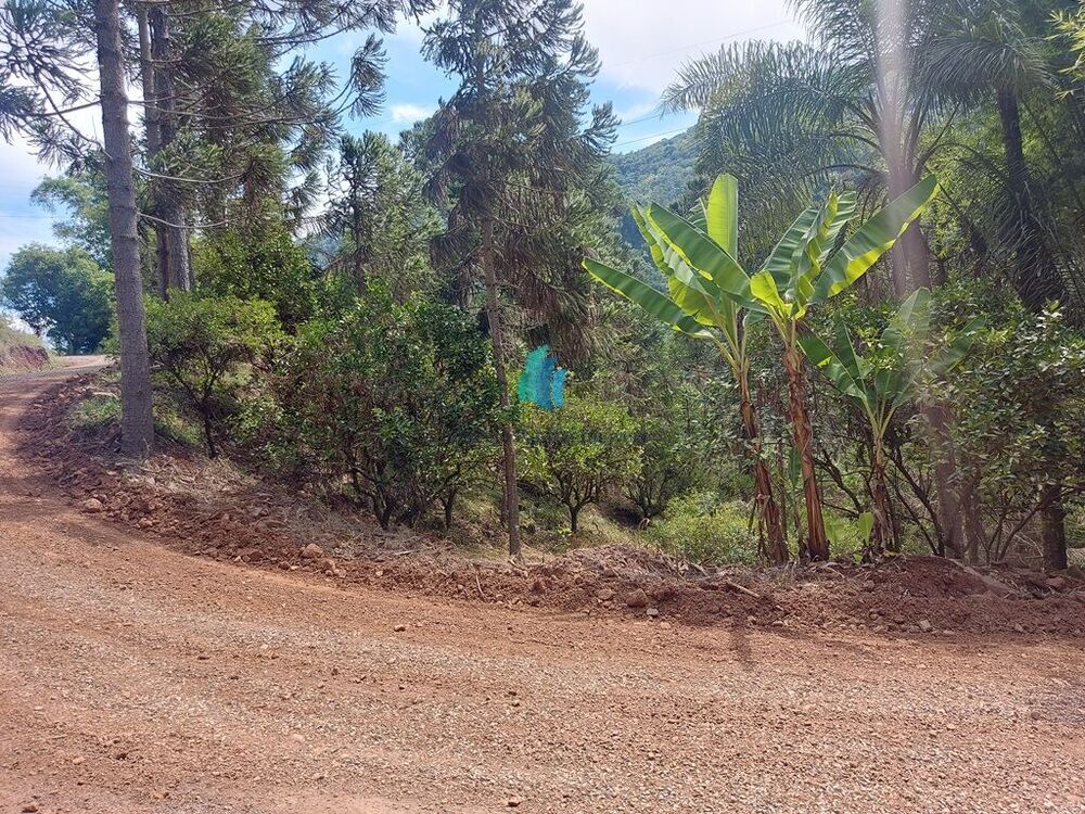 Terreno, 11 hectares - Foto 3