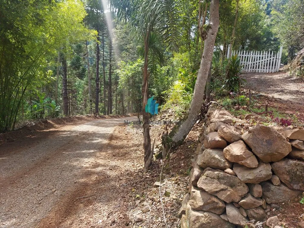Terreno, 11 hectares - Foto 7
