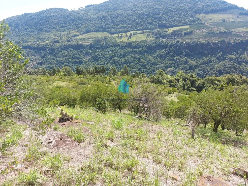 Terreno, 11 hectares - Foto 13