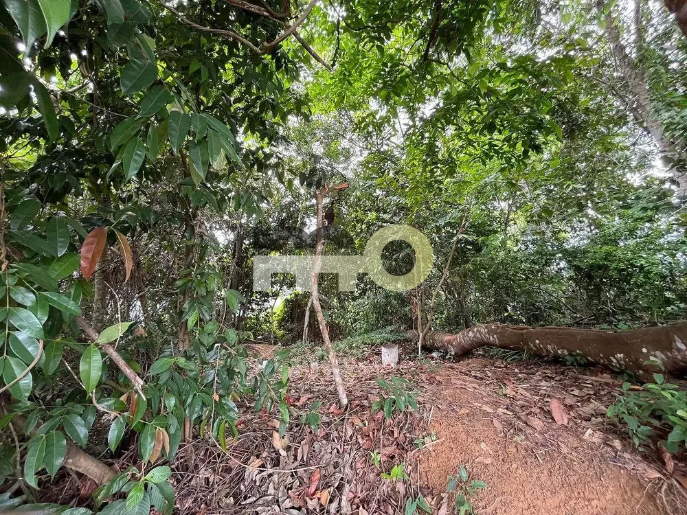 Terreno, 250 m² - Foto 4