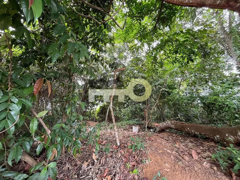 Terreno, 250 m² - Foto 3