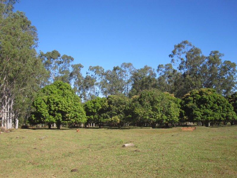 Fazenda à venda, 18640000m² - Foto 10