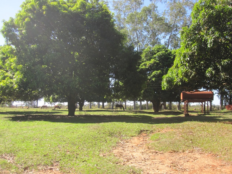 Fazenda à venda, 18640000m² - Foto 5